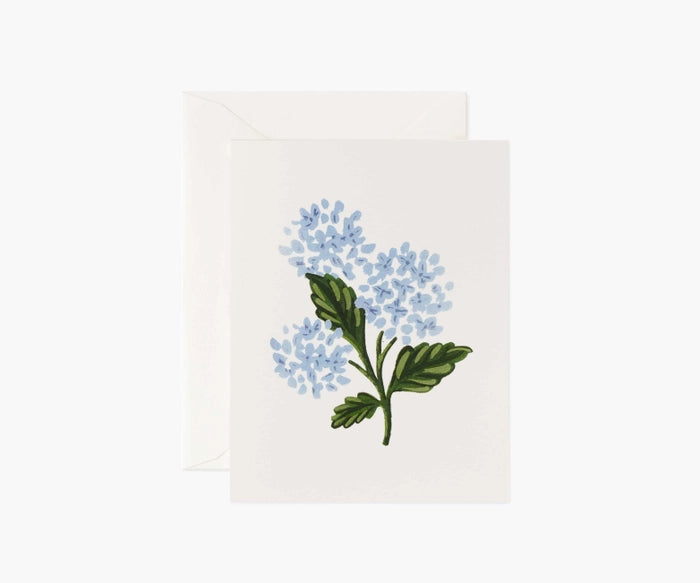 Hydrangea Bloom Single Greeting Card