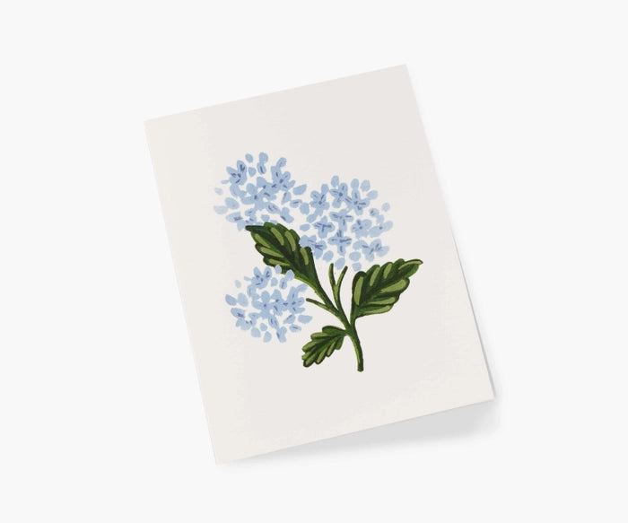 Hydrangea Bloom Single Greeting Card