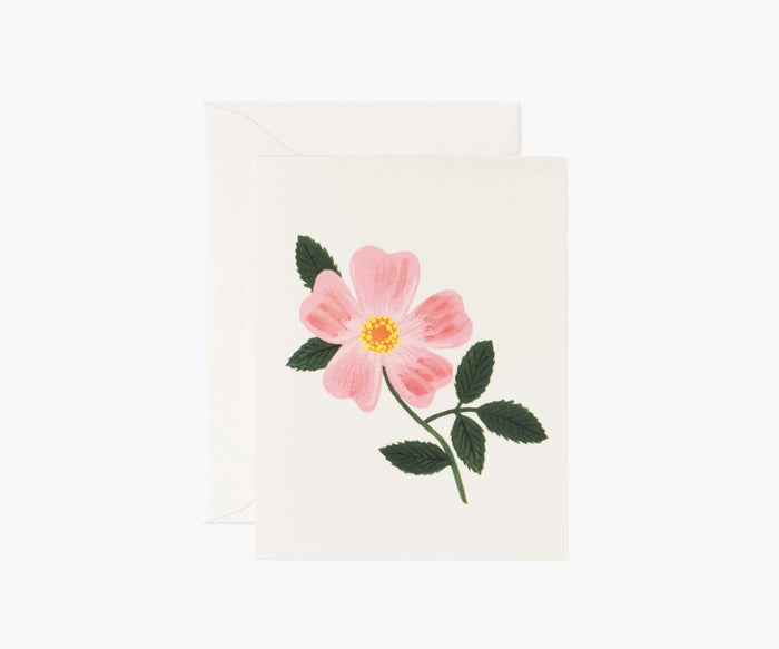 Wild Prairie Rose Single Greeting Card