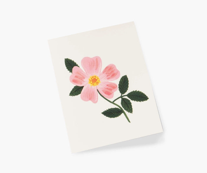 Wild Prairie Rose Single Greeting Card