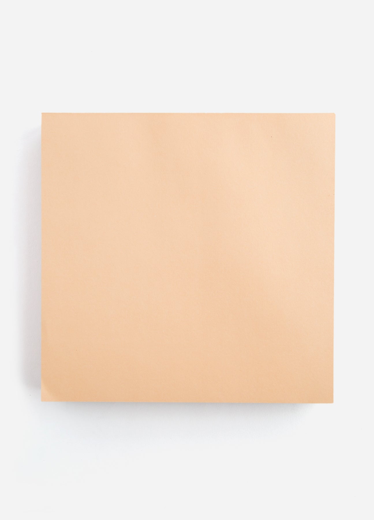 Rose Large Sketch Notepad