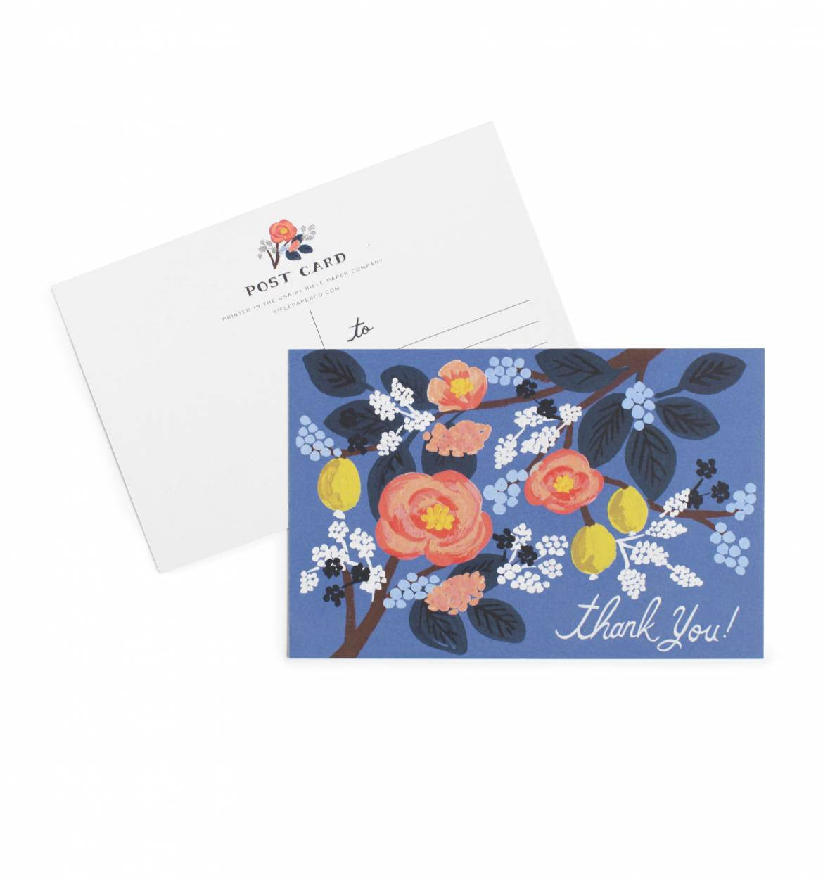 Cobalt Thank You Postcards