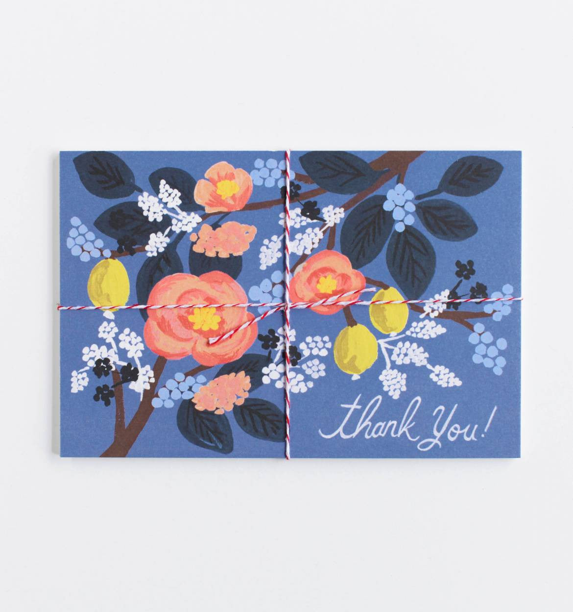 Cobalt Thank You Postcards