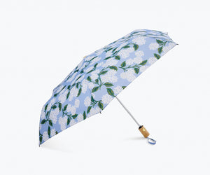Hydrangea Umbrella